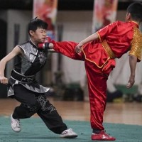 洛阳文武培训学校-欧亚国际武术专业提供传统少林武术
