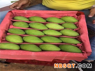 云南划算的云南元江新鲜水果台农芒果-供应，售卖云南元江新鲜水果小台台农芒果图1