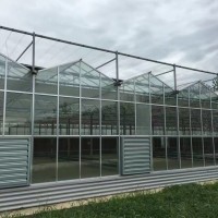 九江玻璃大棚-实用的温室大棚哪里有