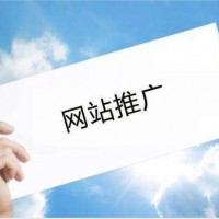 深圳网站优化公司_三二零网络_广州专业网站优化公司