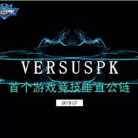 山东VS-versuspk视频直播找VS电竞链垂直公链