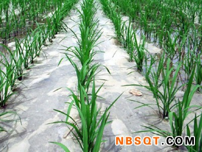 山西农用除草地膜_山东优良的农用除草地膜生产基地图1