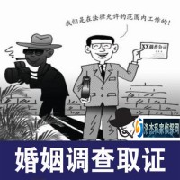 昆明具有口碑的云南洛杰调查公司推荐_临沧调查取证机构