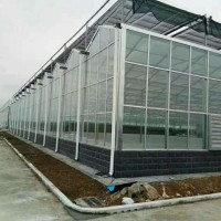河北阳光板温室大棚厂家建设 哪里提供称心的阳光板温室大棚