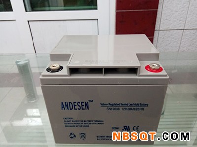 蓄电池什么牌子好-品牌好的蓄电池品牌推荐图1