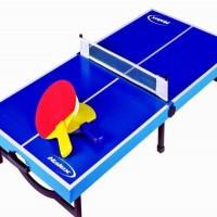 乒乓球台直接销售-兰州品牌好的乒乓球台