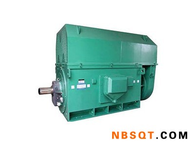 Y450-2C-哪里可以买到高性价定西大中型高压电动机图1