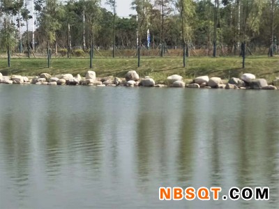 安徽鹅卵石批发价格-价格合理的鹅卵石驳岸要到哪买图1