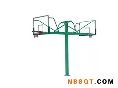 辽宁电动液压篮球架 河北热门河北篮球架厂家图1