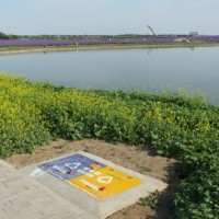 宁夏地埋式果皮箱-报价合理的地埋式果皮箱推荐