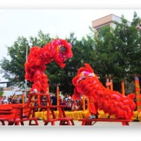广州舞龙舞狮表演-想找有创意的舞龙舞狮表演服务-就来佛山传承龙狮