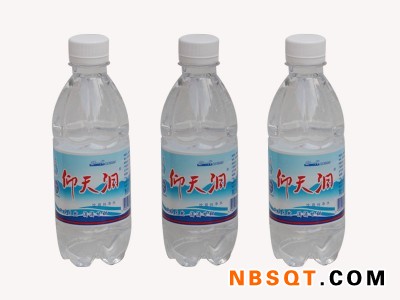 青州绿兰尔山泉水-潍坊高性价绿兰尔纯净水批售图1