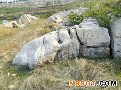 风景石_供不应求的假山工程推荐图1