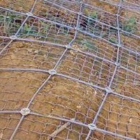 菱形边坡防护网厂家-供应成帅价位合理的菱形边坡防护网