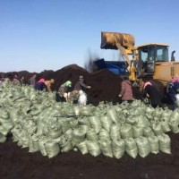 沈阳东北泥炭土_为您推荐魏奇草炭土销量好的草炭土