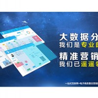 网站设计公司-哪里有信誉好的全网代运营