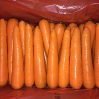 胡萝卜价格_口碑好的胡萝卜，大洲蔬菜供应