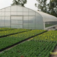 台州玻璃温室-福建玻璃智能温室大棚供应