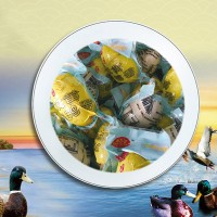 海鸭蛋|北海哪里双黄优惠，海鸭蛋