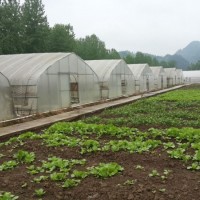广西温室大棚厂家-温室大棚建造找广西嘉丰隆农业