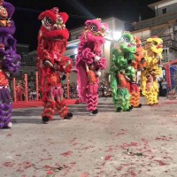 禅城专业的醒狮|广东受欢迎的晚会演出龙狮表演公司