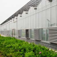 宁德林业花卉育苗|建造玻璃智能温室大棚就来黑土农科
