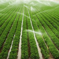 广西喷灌系统-优惠的喷灌设备价位