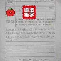 潍坊练字多少钱 合格的潍坊魔法练字上哪找