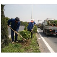 福建绿化工程价格-知名的绿化工程推荐