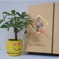 雁塔特产包装盒-实惠的特产包装盒出售