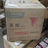 四川高尔夫球车免维护电池_如何买专业的免维护电池
