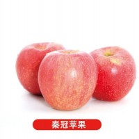 金乡苹果-价格合理的苹果供应