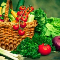 蔬菜配送承包-知名的蔬菜配送服务推荐