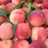 进口水果批发-哪里能买到品质有保障的南宁海吉星水蜜桃批发