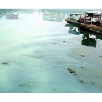 大连生活污水处理-找可信的生活污水处理就到丹东鸿海环保设备