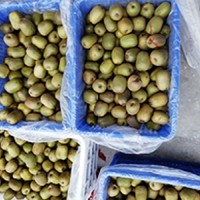 上海红心猕猴桃优惠-新星农业划算的红心猕猴桃供应