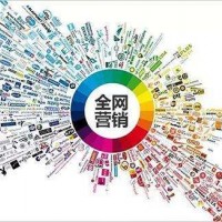 网站建设|广东可信赖的网络推广服务公司