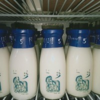 酸马奶直营店-呼伦贝尔知名的奶制品供应商