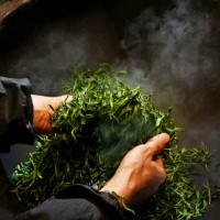贵州峨眉山有机茶叶批发|高品质茶叶批发批发