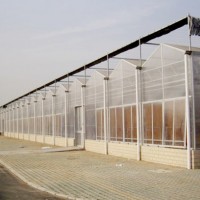 蔬菜大棚建设-温室大棚建造找爱福瑞康农业科技