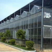 甘肃玻璃温室工程建设-温室大棚价格行情