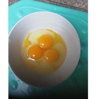 土鸡蛋厂家推广-实惠的土鸡蛋推荐