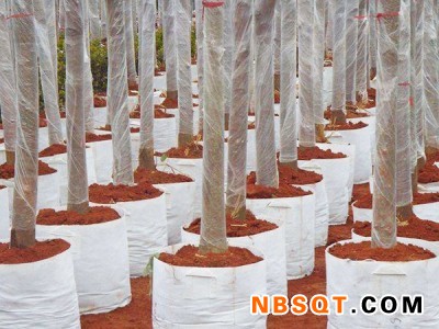种植袋供应-郑州种植袋专业供应图1