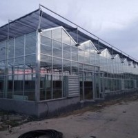 甘肃自动化大棚承建-山东超值的自动化温室大棚