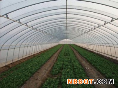 山东蔬菜大棚承接_山东称心的蔬菜大棚图1
