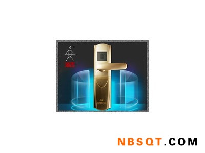 无孔指纹门锁好用吗-陕西合格的顶吉无孔指纹密码锁厂家图1
