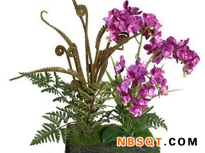 仿真植物-广东有实力的工厂|仿真植物图1