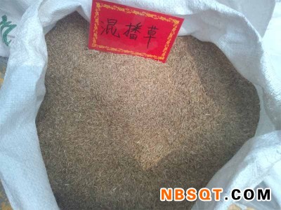 护坡种子批发价格_优惠的防尘草种推荐图1