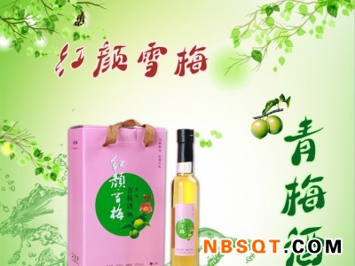 青梅酒供应厂家|肇庆知名的青梅酒供应商图1