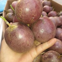 泰安好吃的百果香-报价合理的百香果，湖南陈海龙生态农业供应